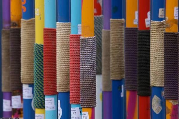 沂源县体育老师培训课程推荐